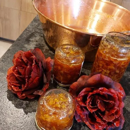 Mas Elena 4* Generargues