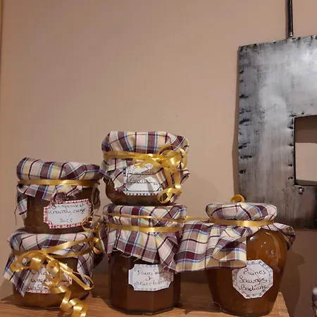 Mas Elena Отель типа 